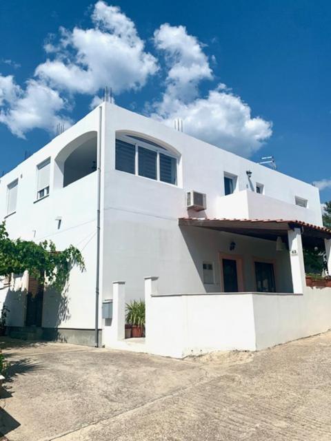 *New Apartment* Petra Hvar Town Dış mekan fotoğraf