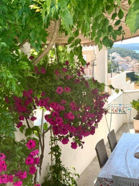 *New Apartment* Petra Hvar Town Dış mekan fotoğraf